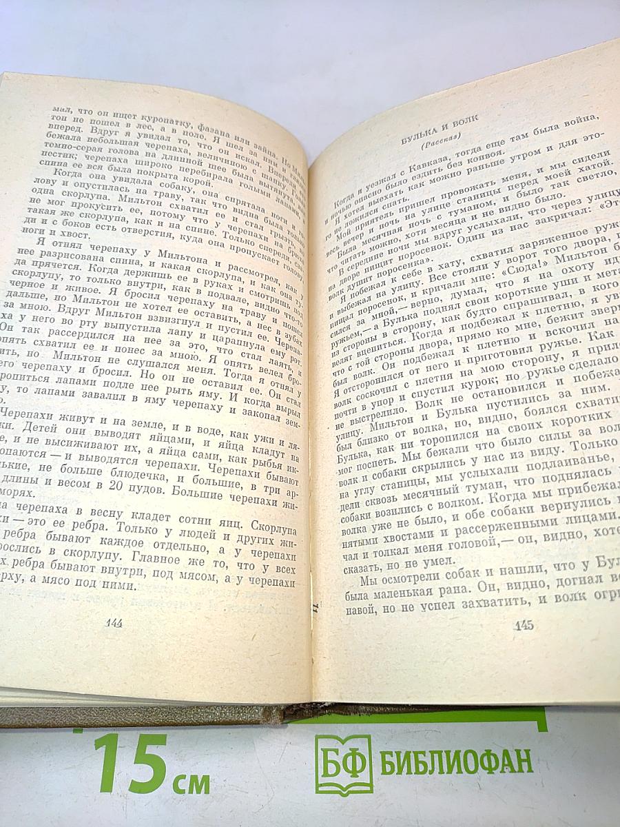 Собрание сочинений в двадцати двух томах. Том десятый. Повести и рассказы 1872-1886