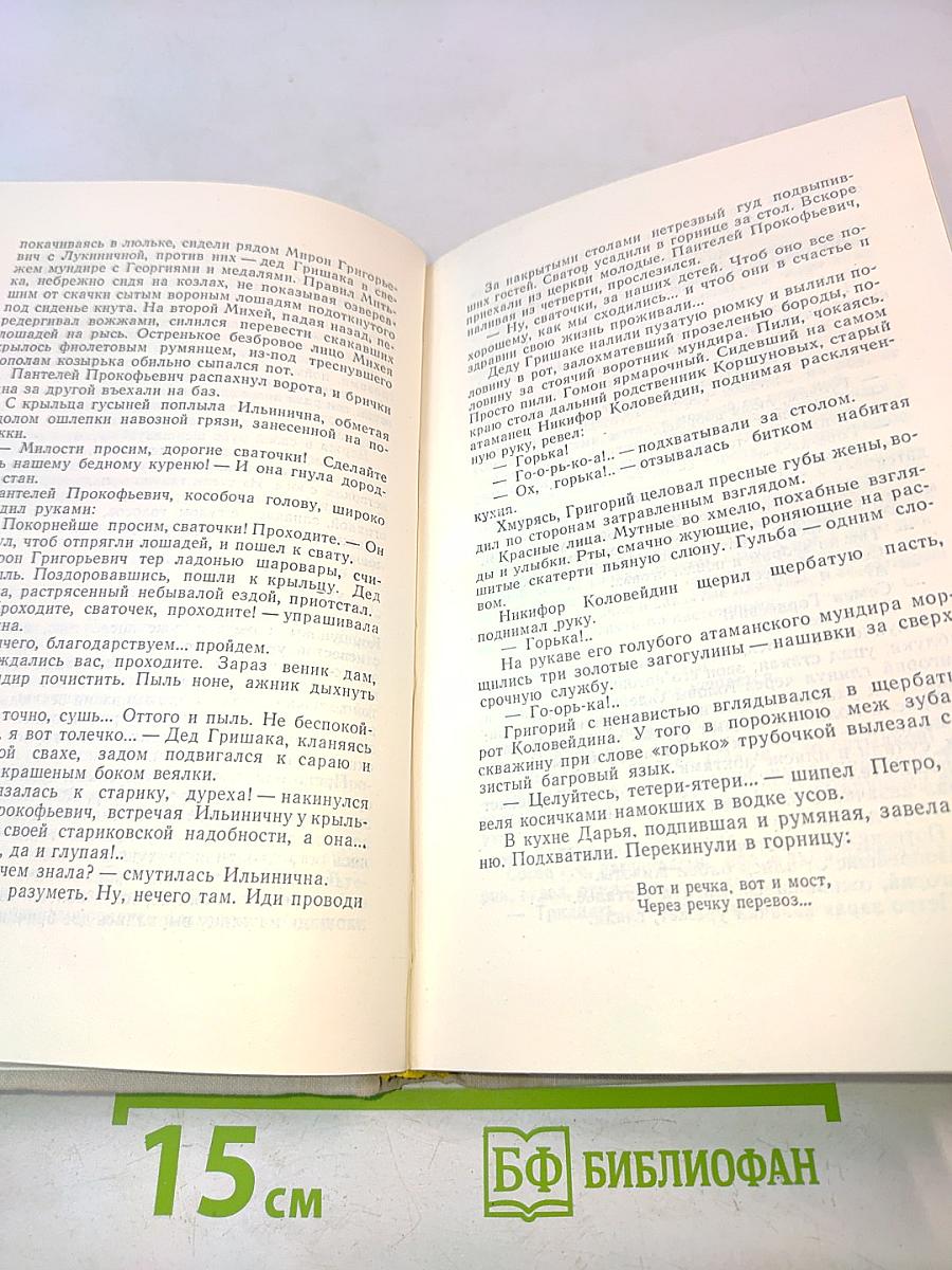 Тихий Дон. Книга первая