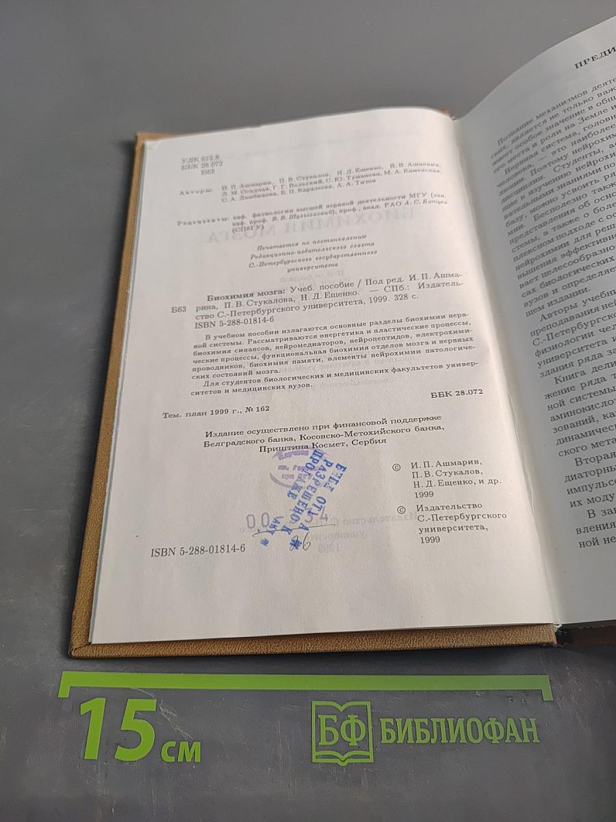 Биохимия мозга