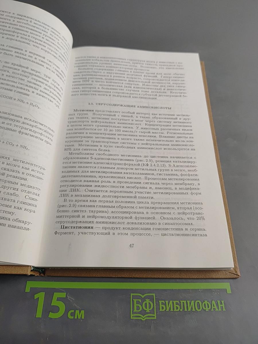 Биохимия мозга