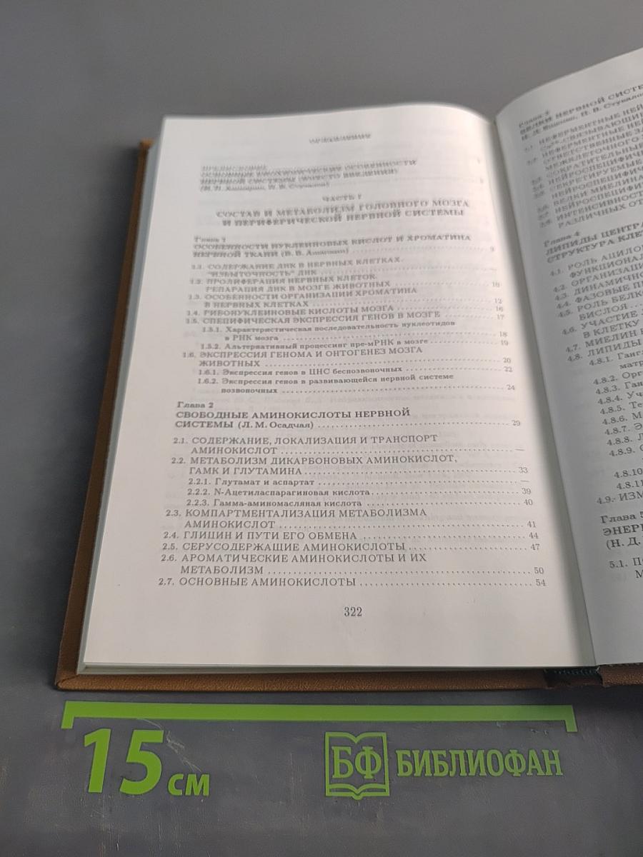 Биохимия мозга