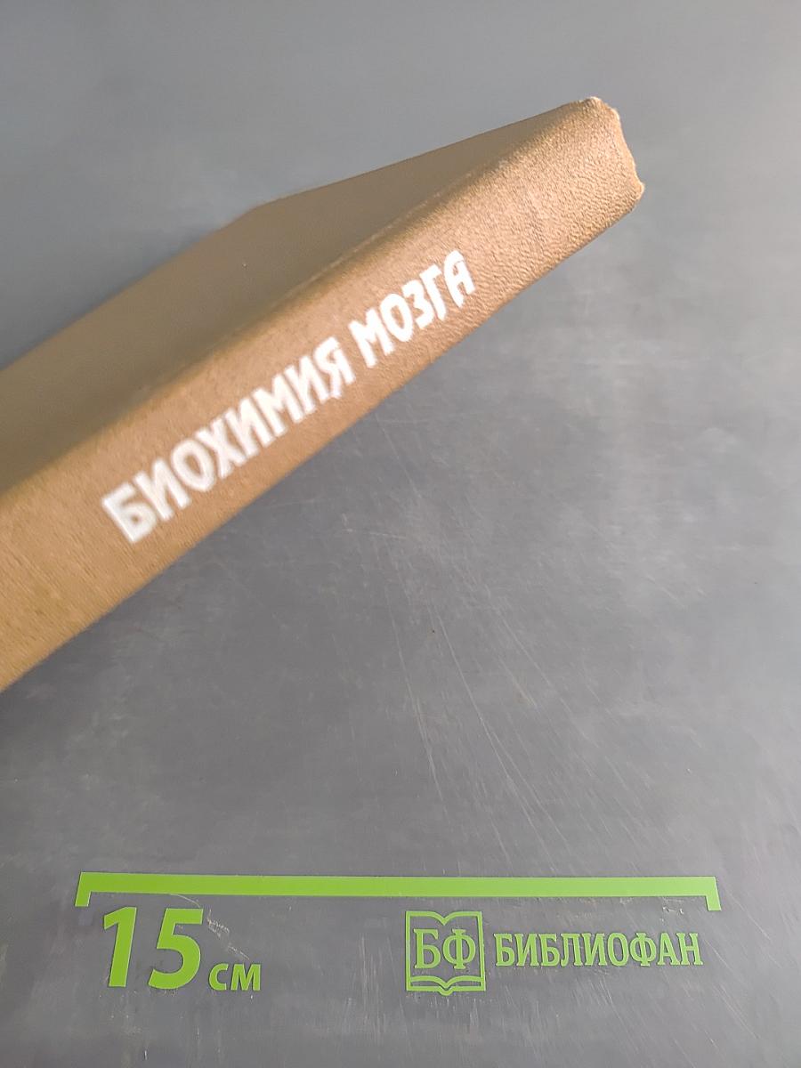 Биохимия мозга