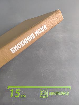 Биохимия мозга