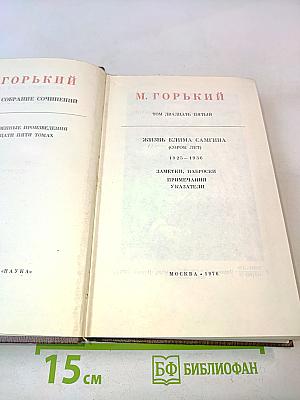 Собрание сочинений в тридцати томах. Том двадцать пятый. Жизнь Клима Самгина (первый том)