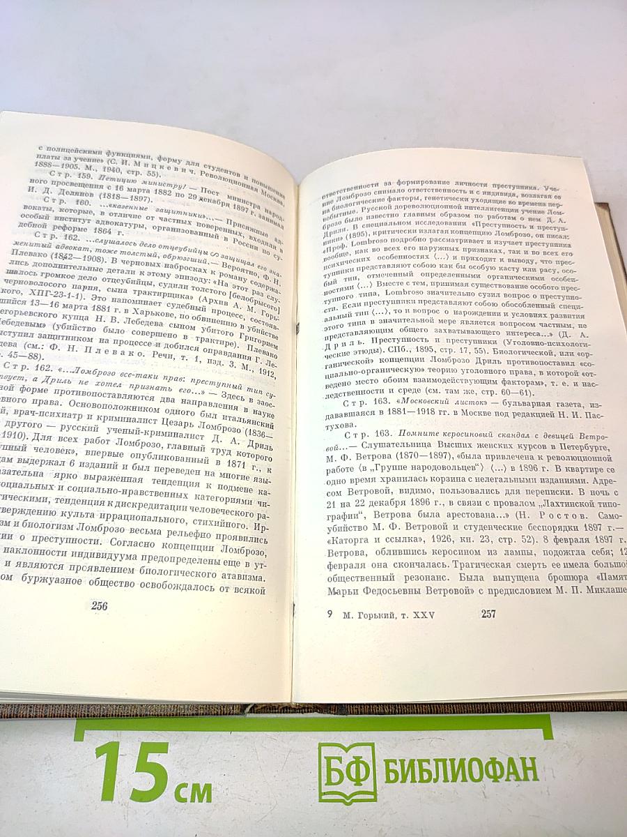 Собрание сочинений в тридцати томах. Том двадцать пятый. Жизнь Клима Самгина (первый том)