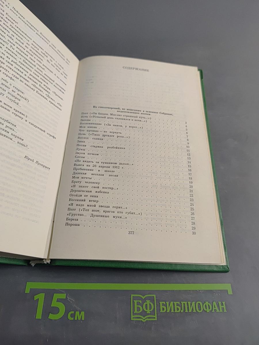 Сергей Есенин. Собрание сочинений в двух томах. Том 2. Стихотворения, проза, статьи, письма