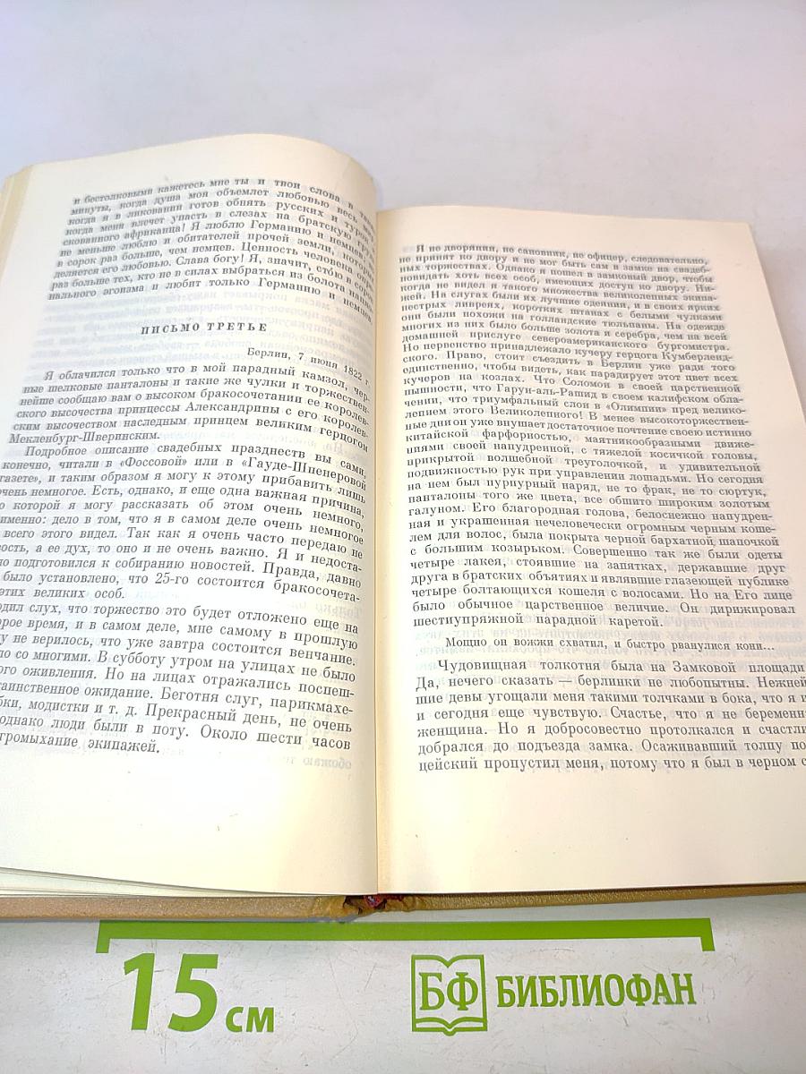Собрание сочинений в десяти томах. Том 5. Статьи. Французские художники. Французские дела из мемуаров господина фон Шнабелевонского