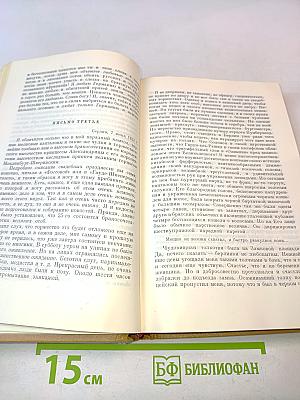 Собрание сочинений в десяти томах. Том 5. Статьи. Французские художники. Французские дела из мемуаров господина фон Шнабелевонского