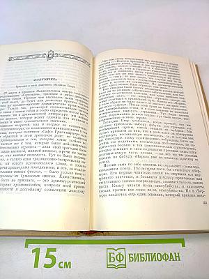 Собрание сочинений в десяти томах. Том 5. Статьи. Французские художники. Французские дела из мемуаров господина фон Шнабелевонского
