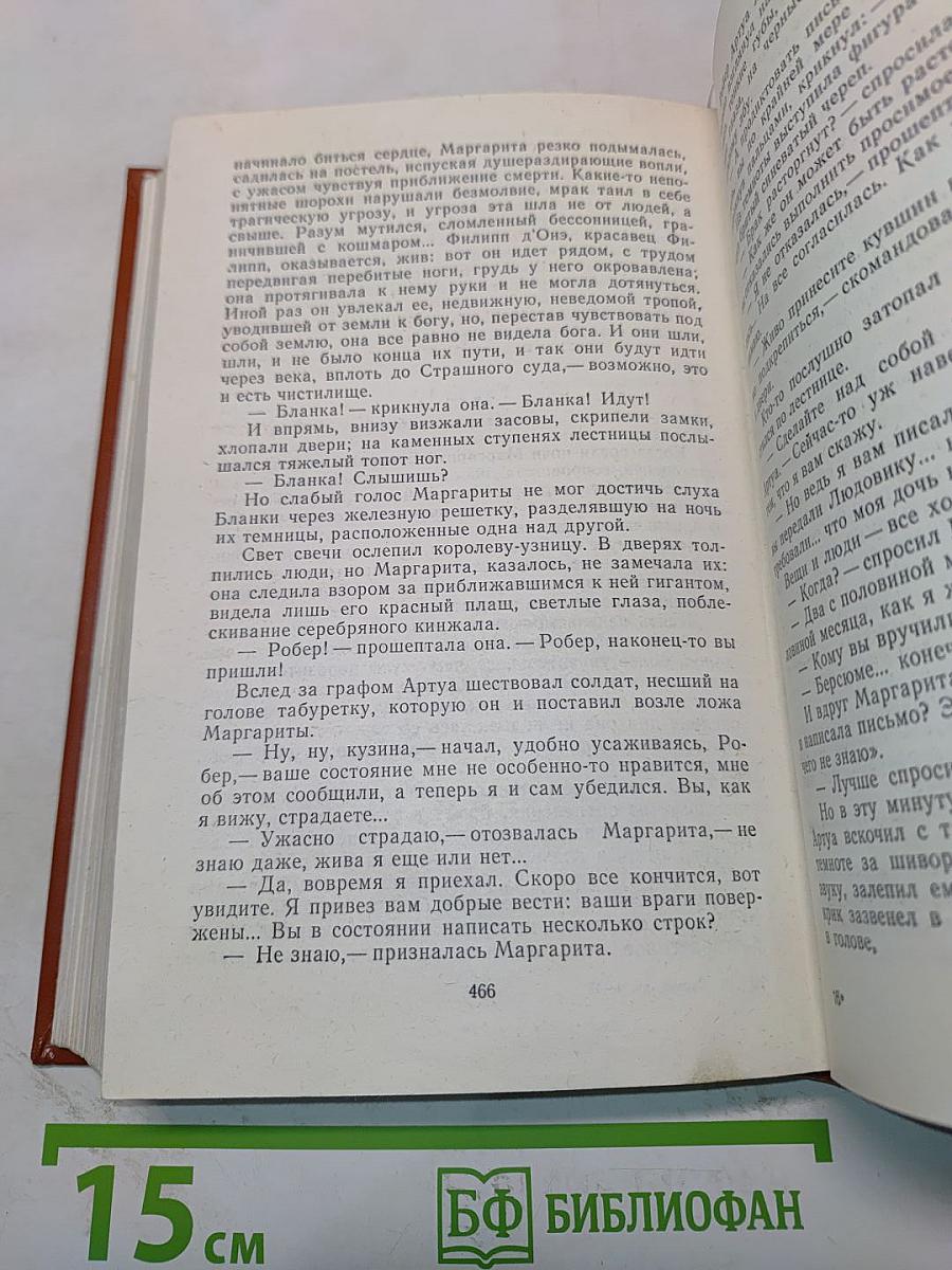 Железный король. Узница Шато-Тайара