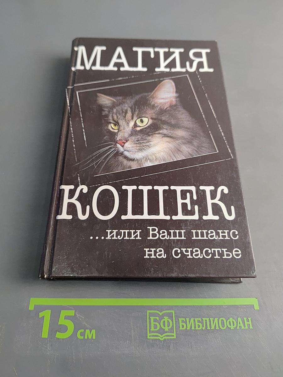 Магия кошек... или Ваш шанс на счастье