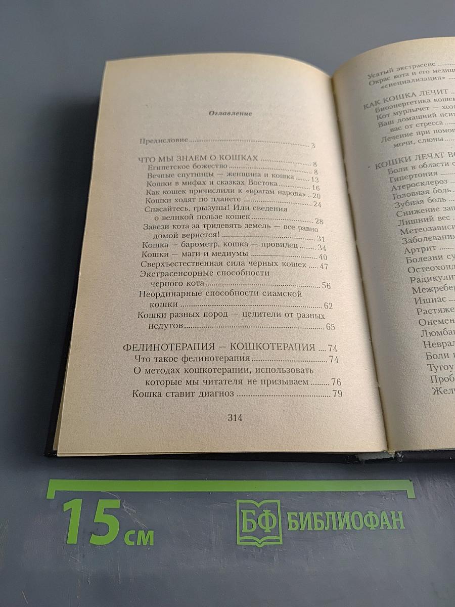 Магия кошек... или Ваш шанс на счастье