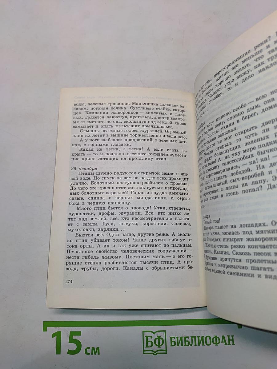 За пером синей птицы