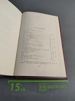 Полное собрание сочинений. Том второй. 1917-1921