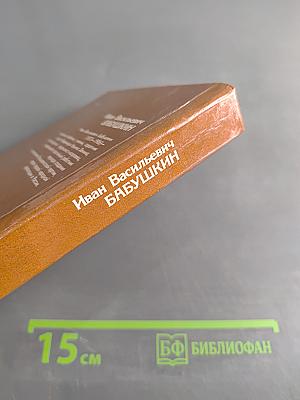 Иван Васильевич Бабушкин. Документальная повесть