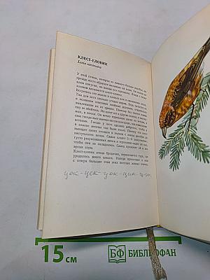 В мире птиц. Карманный атлас птиц