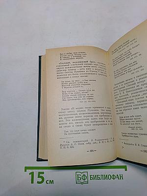 Пушкинская элегия