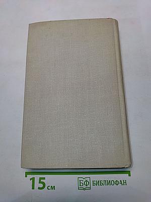 Пленник чужой страны. Опасная игра