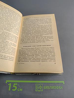 Иртыш и Нева. Двенадцать лет из жизни Федора Достоевского, литератора