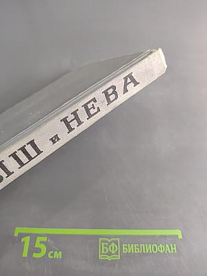 Иртыш и Нева. Двенадцать лет из жизни Федора Достоевского, литератора