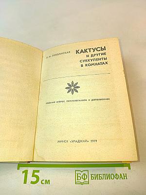Кактусы и другие суккуленты в комнатах