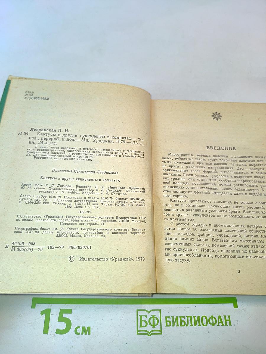 Кактусы и другие суккуленты в комнатах