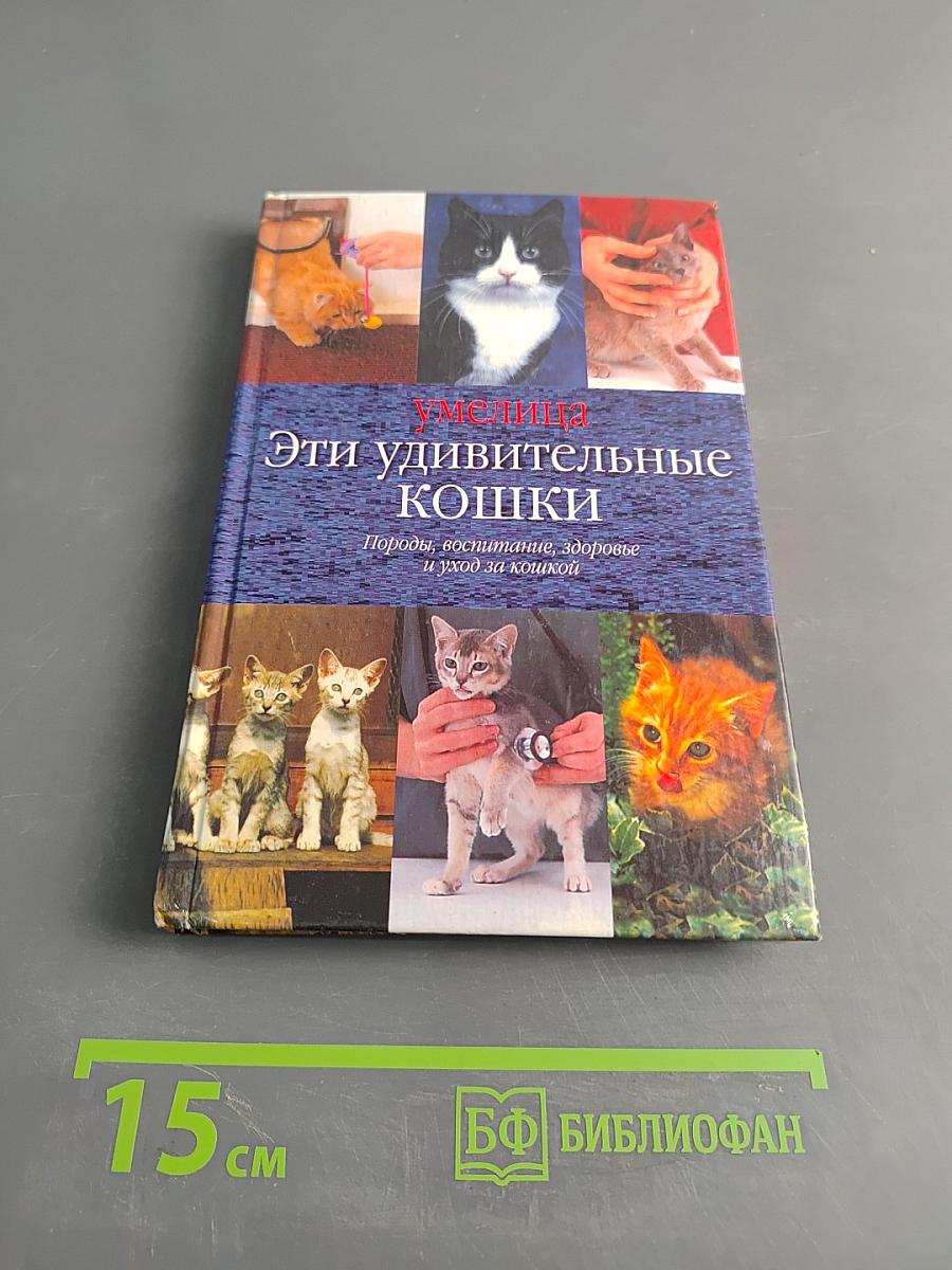 Эти удивительные кошки