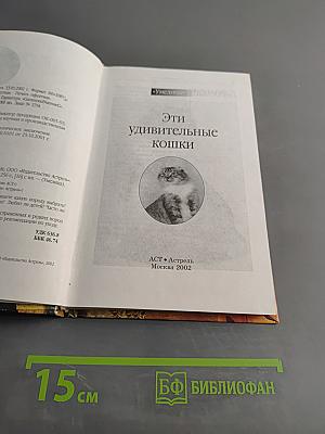 Эти удивительные кошки