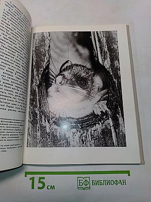 Фотоохота