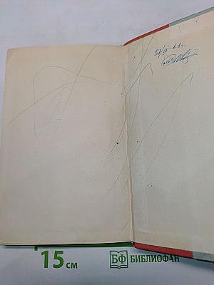 Северное сияние. Исторический роман в двух книгах. Книга 1