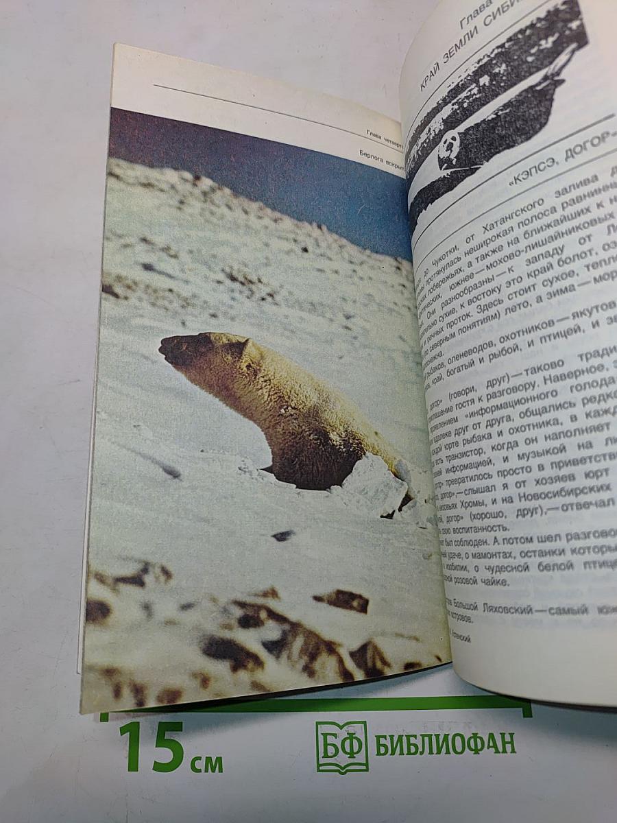 Живая Арктика