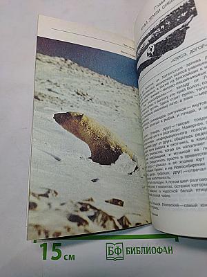 Живая Арктика