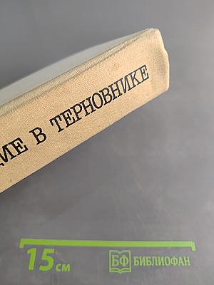 Поющие в терновнике