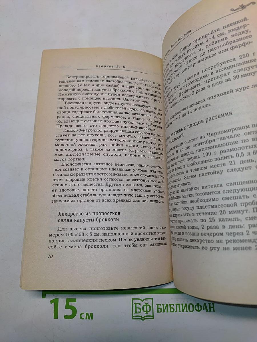 Золотой ус в лечении болезней века
