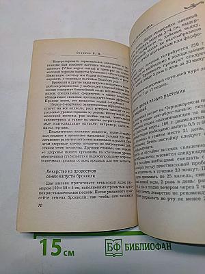 Золотой ус в лечении болезней века