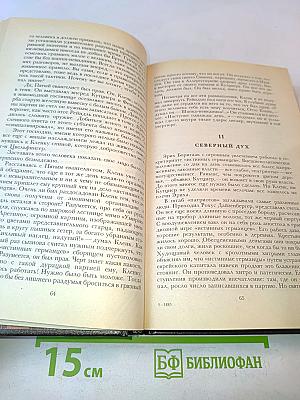 Успех. Книги 4-5. Семья Опперман