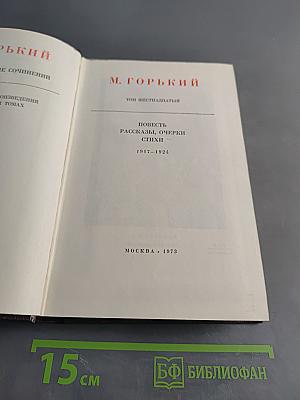 Собрание сочинений. Том шестнадцатый. Повесть, рассказы, очерки, стихи. 1917-1924