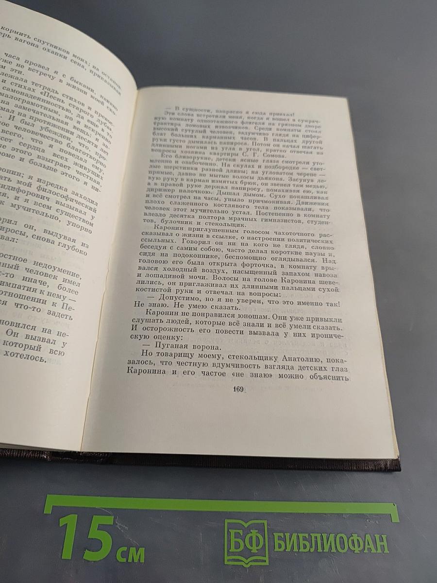 Собрание сочинений. Том шестнадцатый. Повесть, рассказы, очерки, стихи. 1917-1924