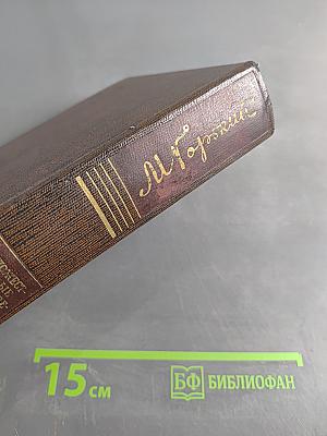 Собрание сочинений. Том шестнадцатый. Повесть, рассказы, очерки, стихи. 1917-1924
