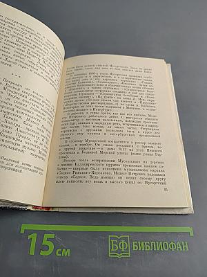 Мусоргский в Петербурге