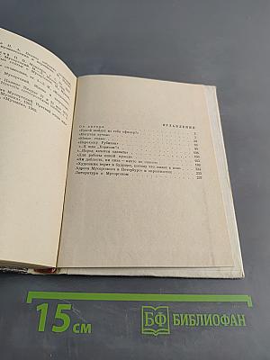 Мусоргский в Петербурге