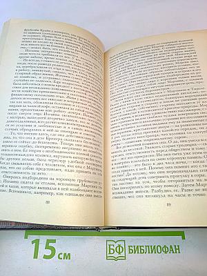 Успех. Три года из истории одной провинции