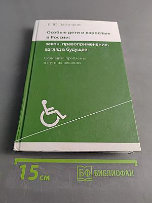 Особые дети и взрослые в России: закон, правоприменение, взгляд в будущее. Основные проблемы и пути их решения