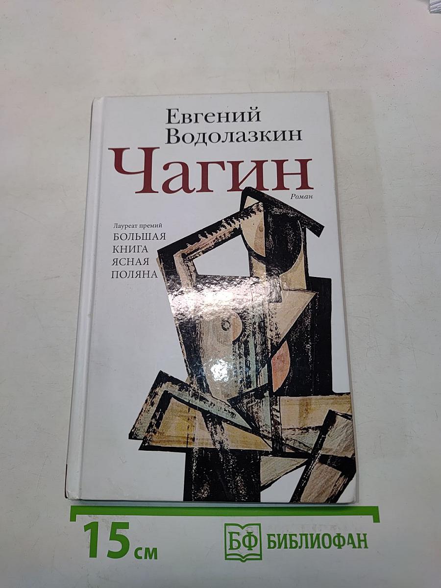Чагин