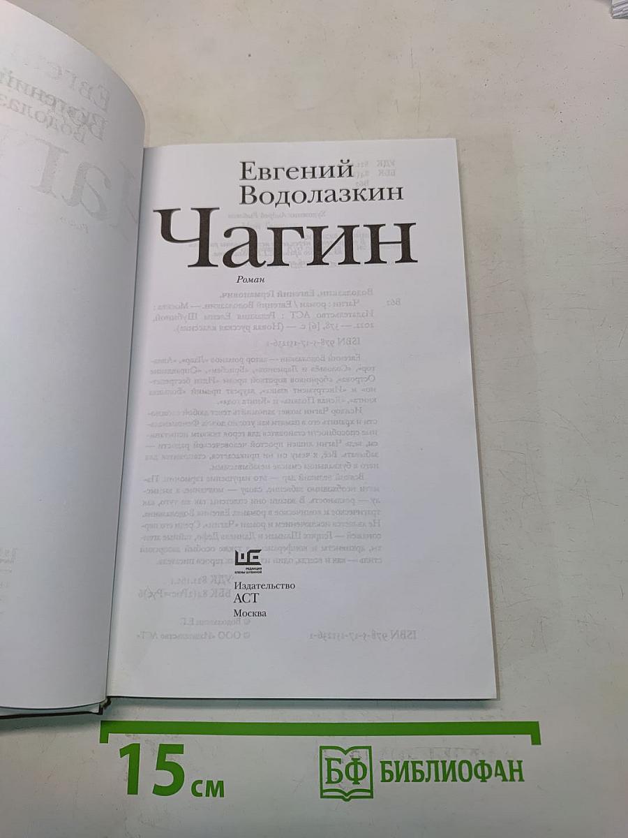 Чагин