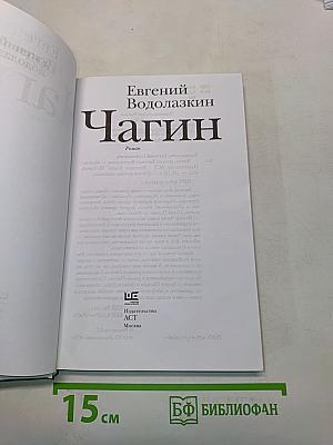 Чагин