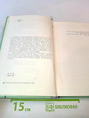 Словарь лексических и лексико-грамматических омонимов современного английского языка