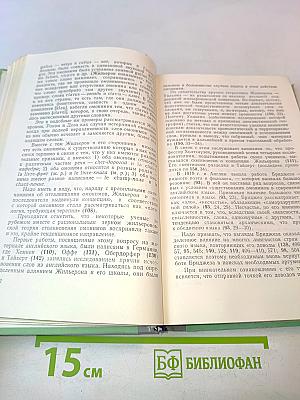 Словарь лексических и лексико-грамматических омонимов современного английского языка
