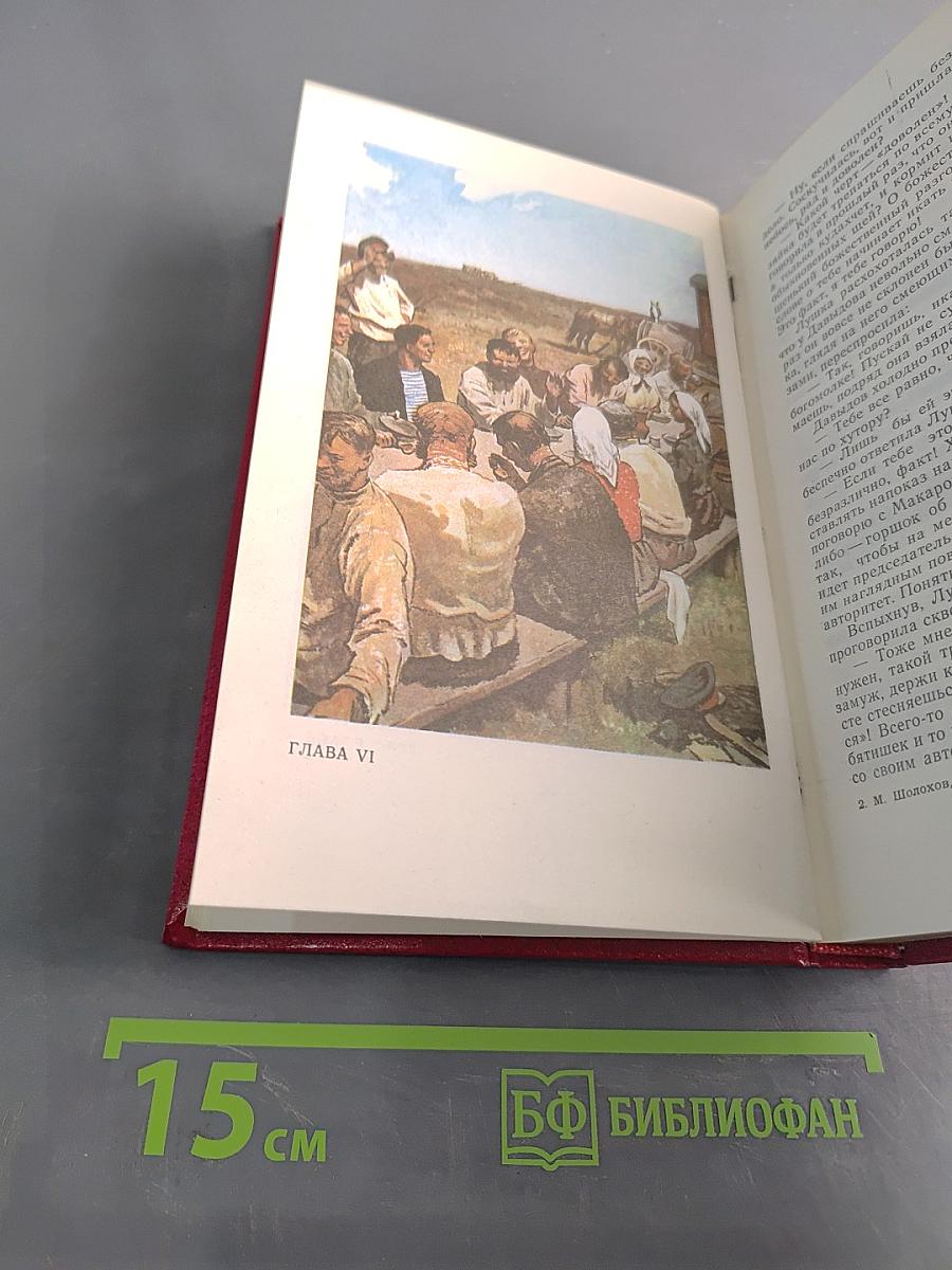 Собрание сочинений. Том 6. Поднятая целина. В двух книгах. Книга вторая
