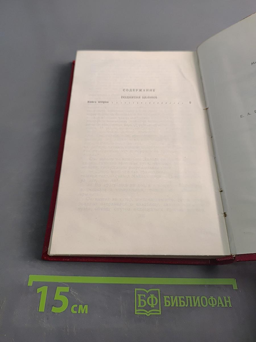 Собрание сочинений. Том 6. Поднятая целина. В двух книгах. Книга вторая